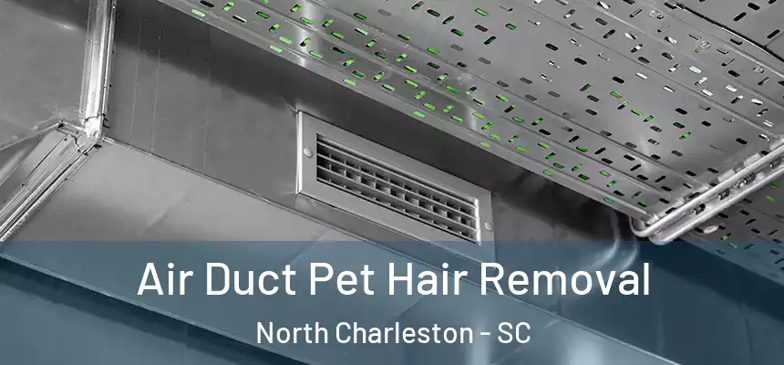  Air Duct Pet Hair Removal North Charleston - SC