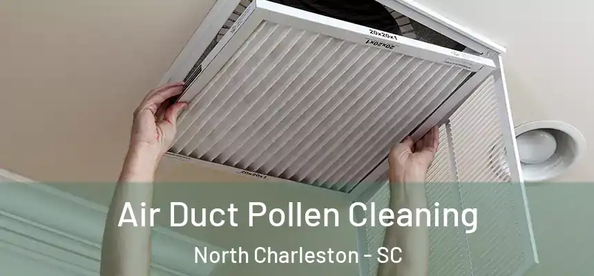  Air Duct Pollen Cleaning North Charleston - SC