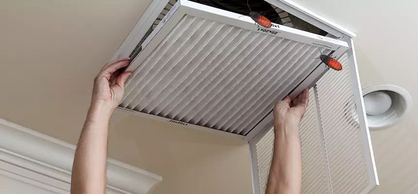 Our Insect Removal from Air Ducts Services in North Charleston, SC