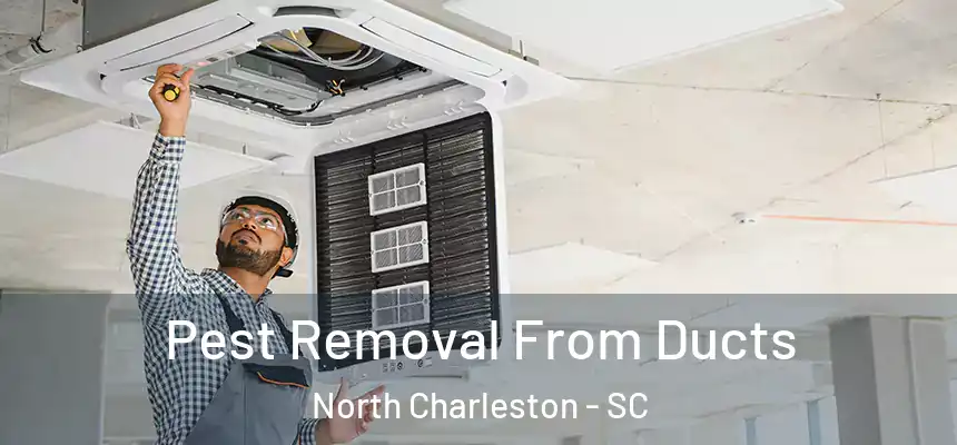  Pest Removal From Ducts North Charleston - SC