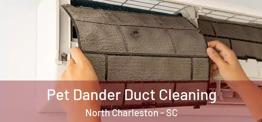  Pet Dander Duct Cleaning North Charleston - SC