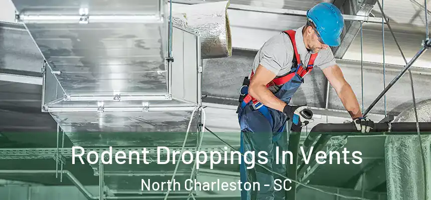  Rodent Droppings In Vents North Charleston - SC