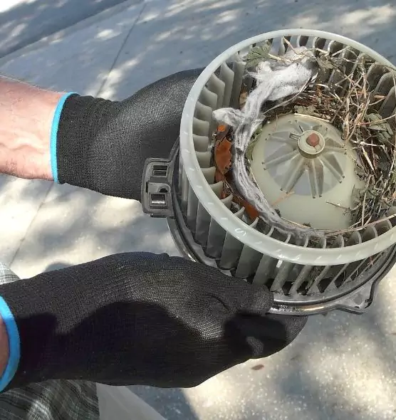 About Air Duct Mice Removal in North Charleston, SC