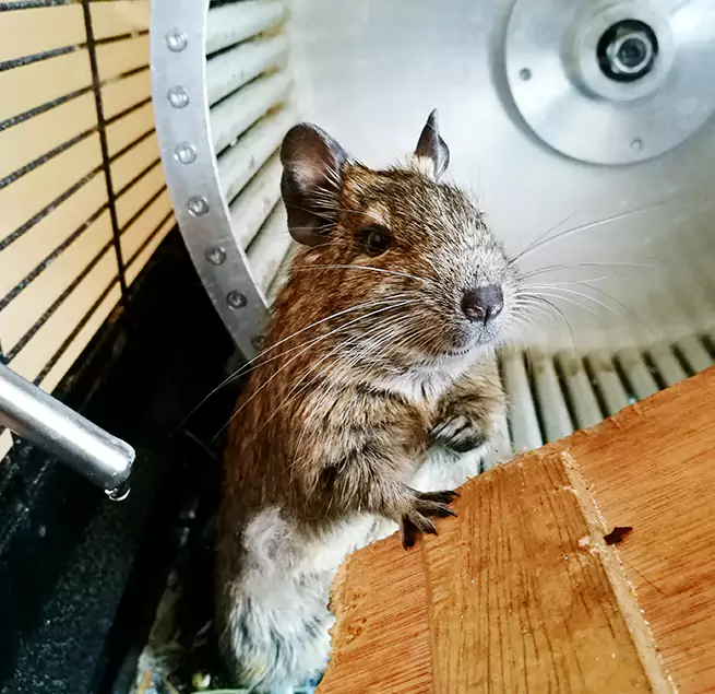 Why Homeowners & Businesses Trust Us North Charleston, SC