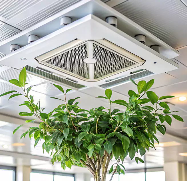 Why Homeowners & Businesses Trust Us in North Charleston, SC?