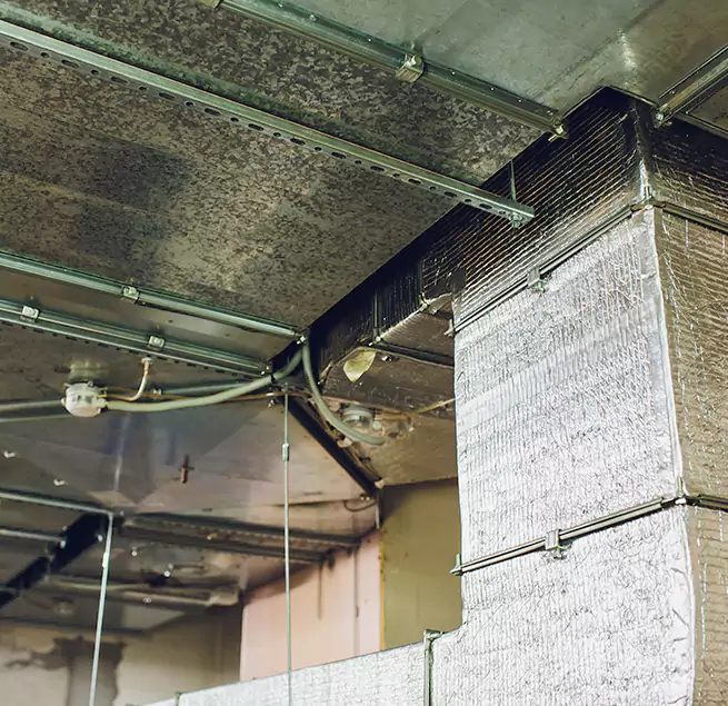 Why Homeowners & Businesses Trust Us in North Charleston, SC?