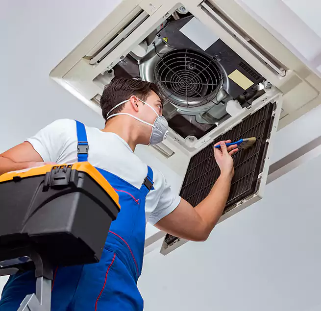 Why Homeowners & Businesses Trust Us in North Charleston, SC?